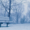F7a551 snowy bench